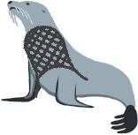 seals